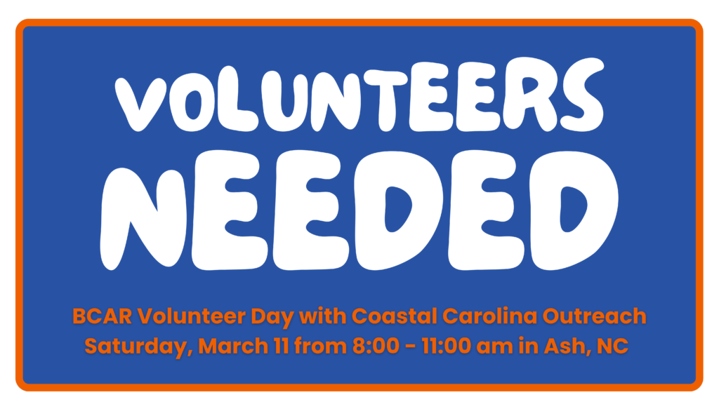 BCAR Volunteer Day with CCO Facebook Header